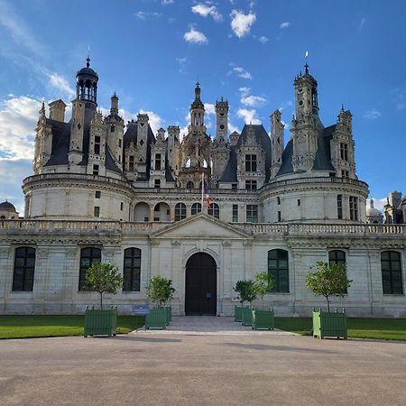 Le Clos De La Deesse La Ferté-Saint-Cyr Exterior foto