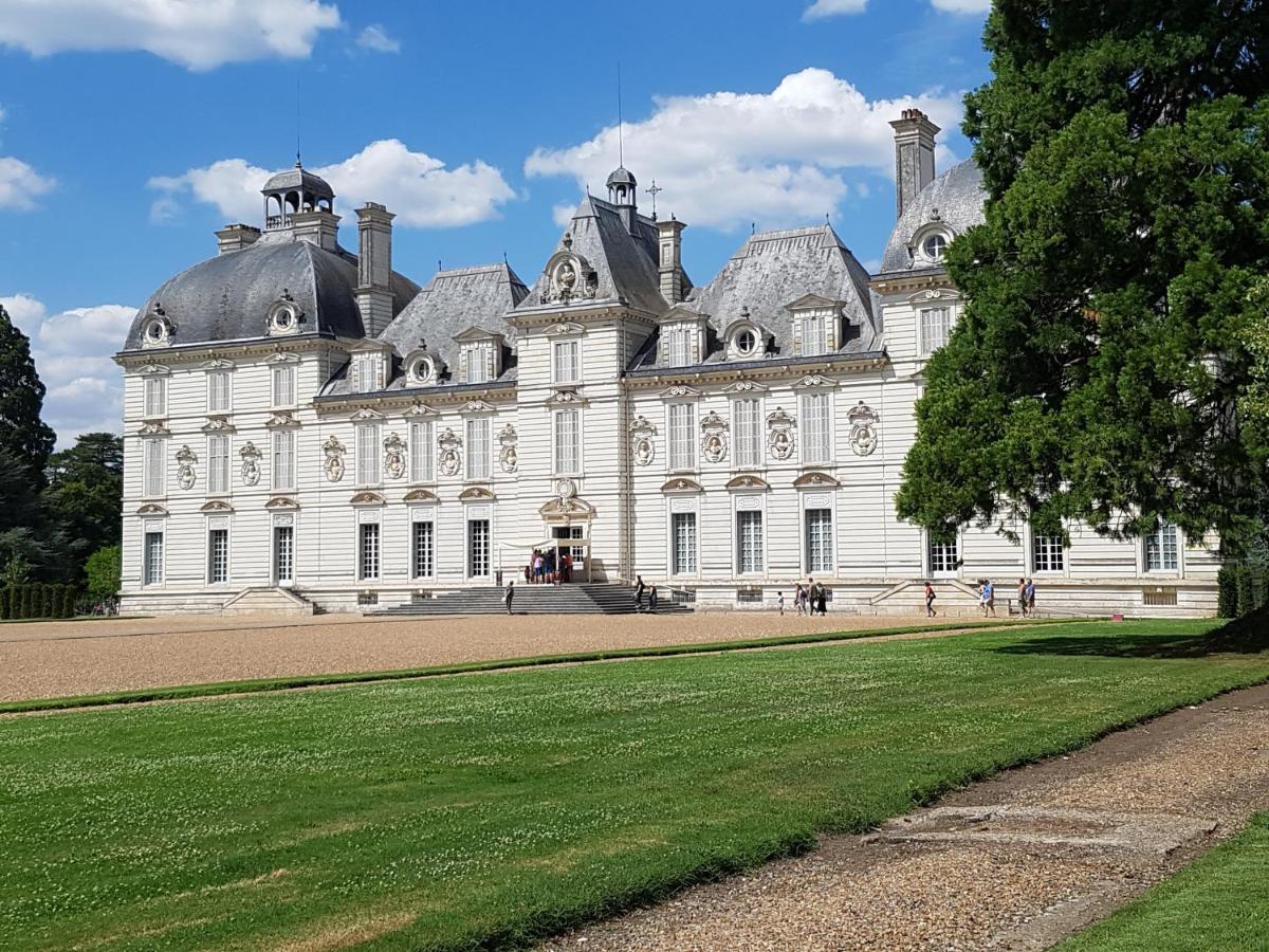 Le Clos De La Deesse La Ferté-Saint-Cyr Exterior foto